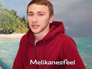 Melikanesfeel