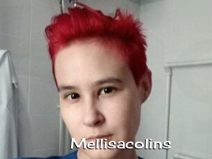 Mellisacolins