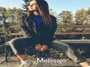 Mellisajo