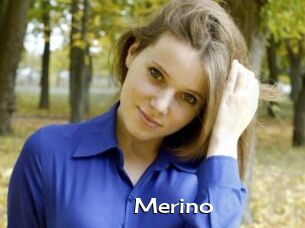 Merino