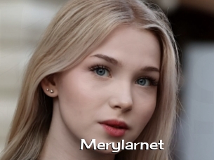 Merylarnet