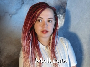 Mollybuls