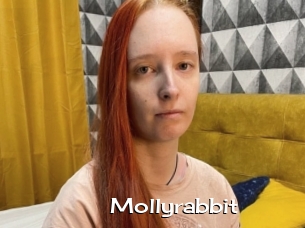 Mollyrabbit