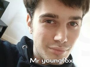 Mr_youngfox