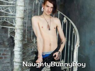 NaughtyBunnyBoy