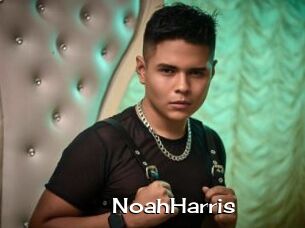 NoahHarris