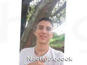 Nasttybigcock