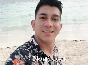 Noah_cock