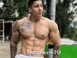 Noaharris19