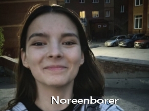 Noreenborer