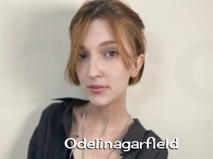 Odelinagarfield