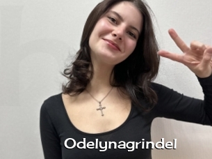 Odelynagrindel