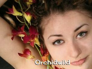 Orchidwild