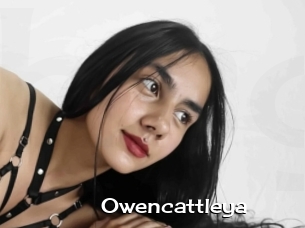 Owencattleya