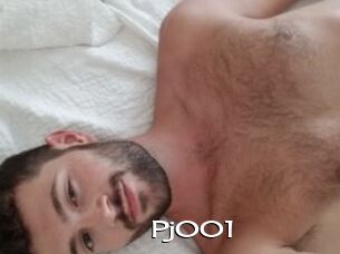 Pj001