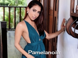 Pamelanoiir