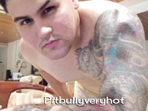 Pitbullyveryhot