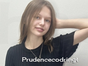 Prudencecodringt