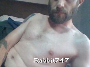 Rabbit747