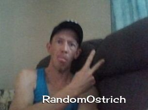 RandomOstrich