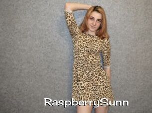 RaspberrySunn