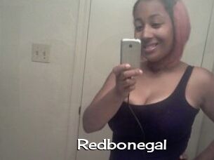 Redbonegal