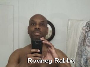 Rodney_Rabbit