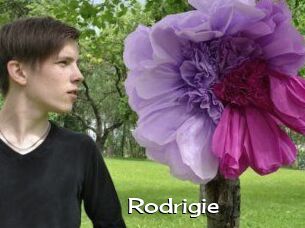 Rodrigie