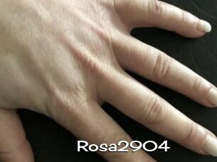 Rosa2904