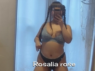 Rosalia_rose