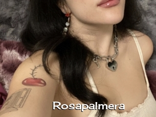 Rosapalmera