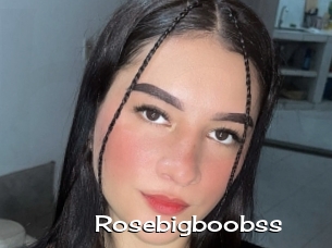 Rosebigboobss