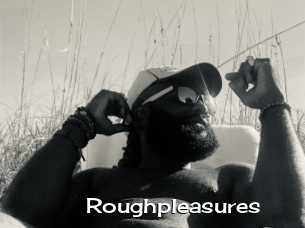 Roughpleasures