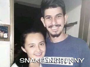 SNAKEANDBUNNY