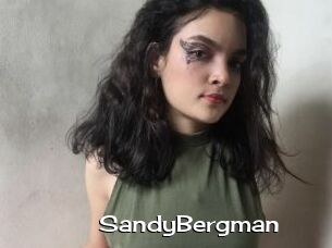 SandyBergman