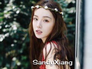 SandyXiang