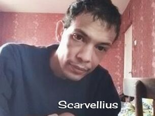 Scarvellius