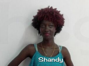 Shandy