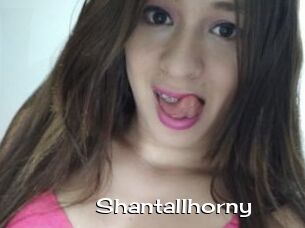 Shantallhorny