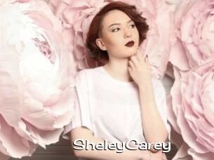 SheleyCarey