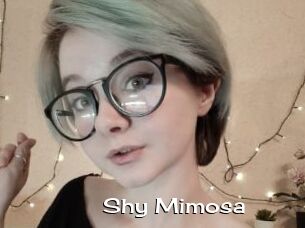 Shy_Mimosa