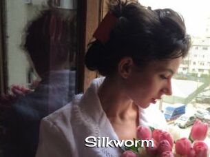 Silkworm