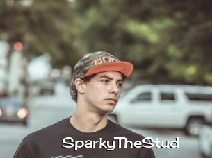 SparkyTheStud