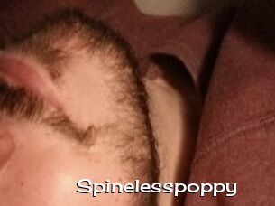 Spinelesspoppy