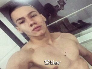 Stier