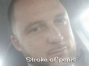 Stroke_of_penis