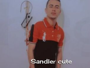 Sandler_cute