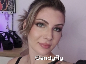 Sandyfly