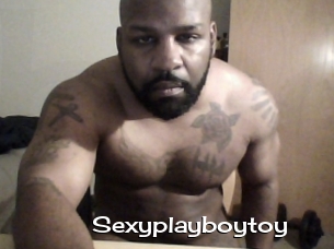 Sexyplayboytoy