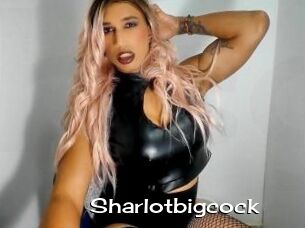 Sharlotbigcock